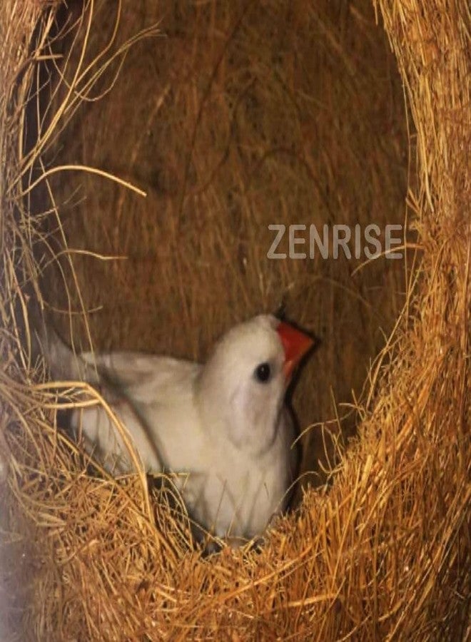 ZENRISE أرجوحة عش الطيور المصنوعة من ألياف جوز الهند من زينرايز مع مدخل مقوس لطيور الأقفاص (بيج، عبوة من قطعتين) - Image 2