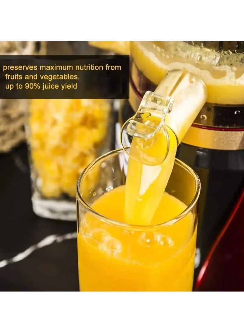 دينكس عصارة DENX DX3203 بقدرة 1000 واط وسعة 500 ملل لتحضير عصائر طازجة - Image 4