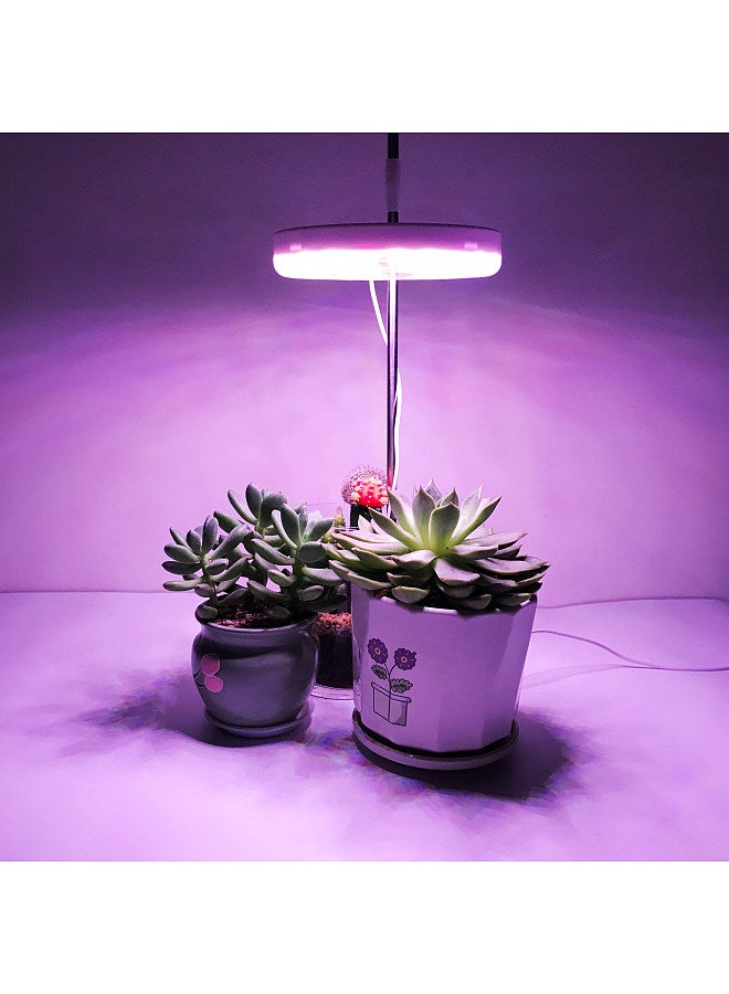 Generic Indoor Small Plant Light, Full Spectrum LED Plant Light, Desktop Mini Plant Light, Height Adjustable Plant Light  - Image 2