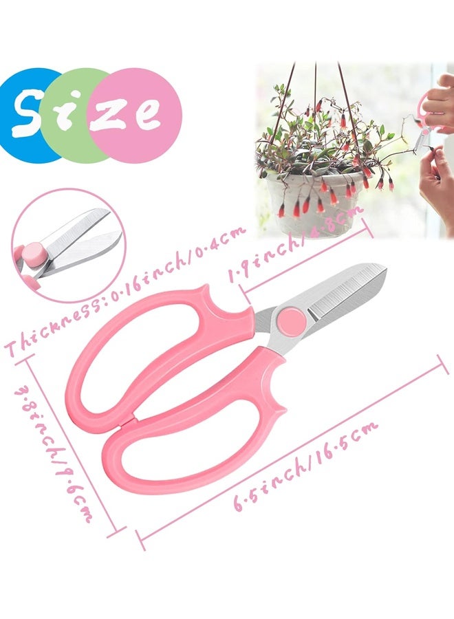 3 Pcs Garden Scissors Floral Shears,Premium Garden Pruning Shears for Plants Trimming and Fruit Picking Trimming - Image 2