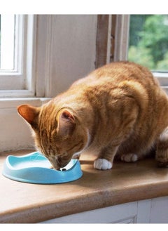 Beco Pets Beco Sustainably Made Bamboo Dishwasher Safe Cat Food And Water Bowl Blue 250ML  - Image 1