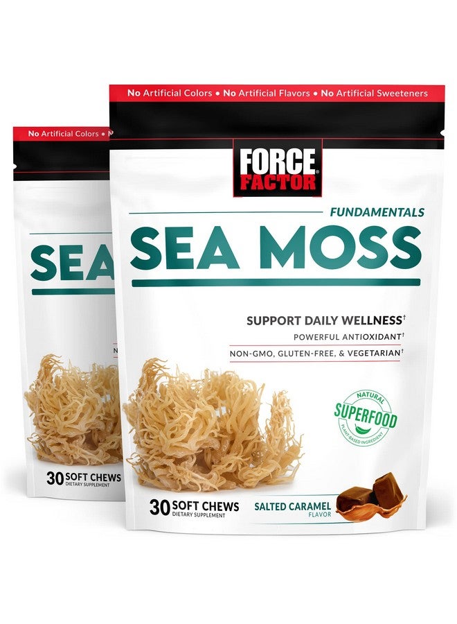 Force Factor علكات ناعمة من الطحالب البحرية تدعم المناعة والهضم وصحة القلب، مكمل غذائي خارق من الطحالب البحرية الأيرلندية بنكهة الكراميل المملح الخالي من الجلوتين من نونجمو، 60 علكة ناعمة - Image 1