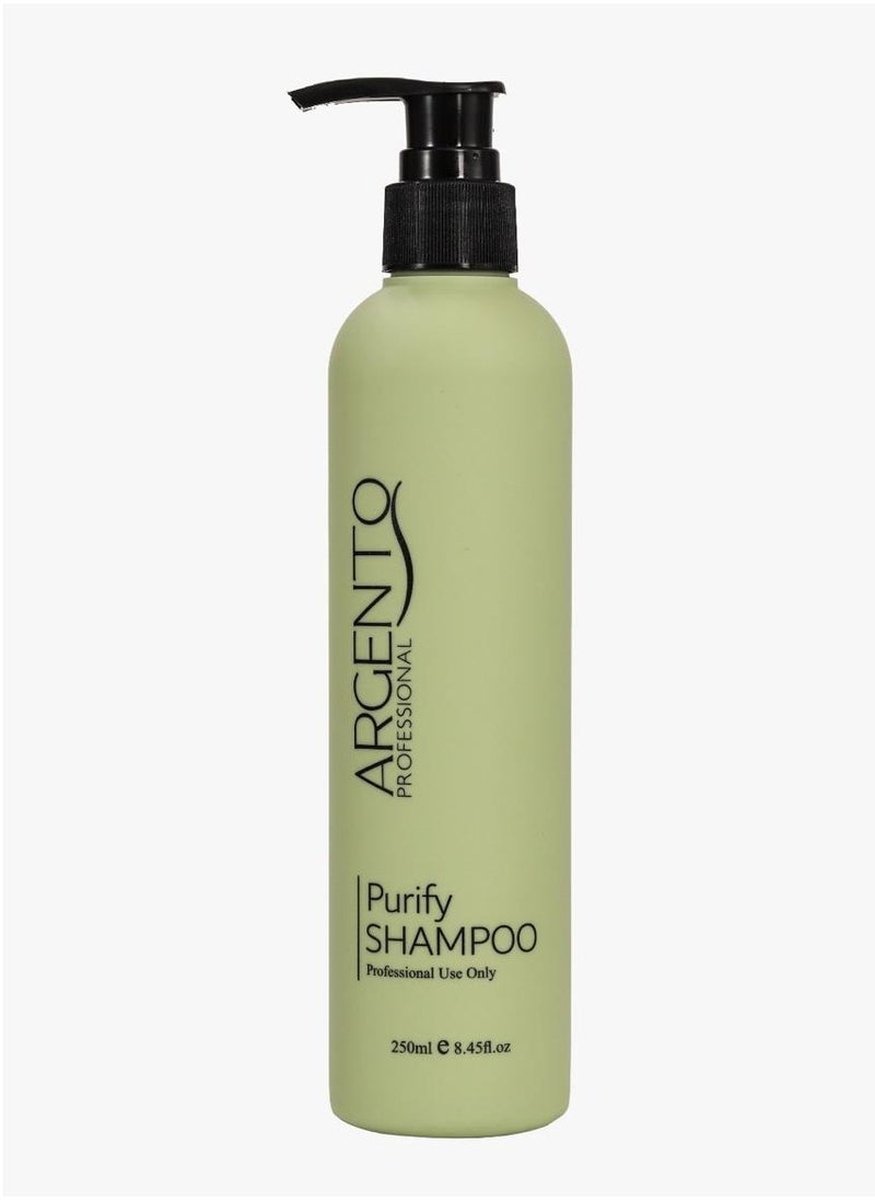ARGENTO Argento Pre-Treatment Shampoo 250ml  - Image 1