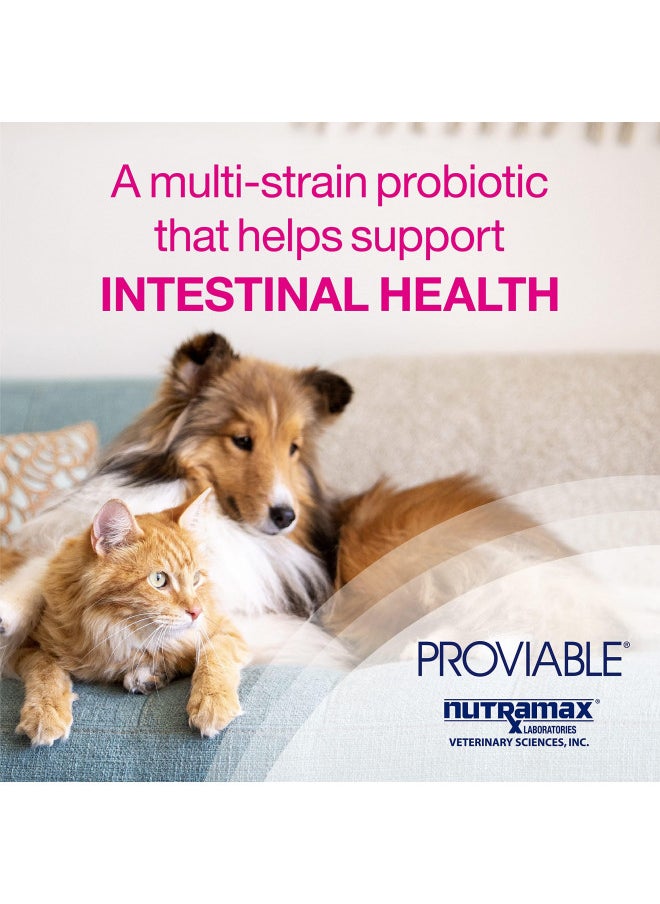 Nutramax Laboratories Nutramax Proviable Digestive Health Supplement Kit with Multi-Strain Probiotics and Prebiotics for Cats and Small Dogs, With 7-Strains of Bacteria, 15 mL Paste and 10 Capsules  - Image 2