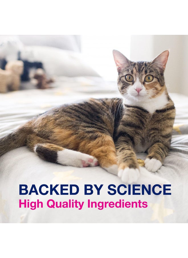 Nutramax Laboratories Nutramax Proviable Digestive Health Supplement Kit with Multi-Strain Probiotics and Prebiotics for Cats and Small Dogs, With 7-Strains of Bacteria, 15 mL Paste and 10 Capsules  - Image 4