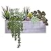 Supla Artificial Pre-Made Succulent Wood Planter Arrangement 10 Pcs Assorted Fake Succulent Plants in Rectangular - Image 2