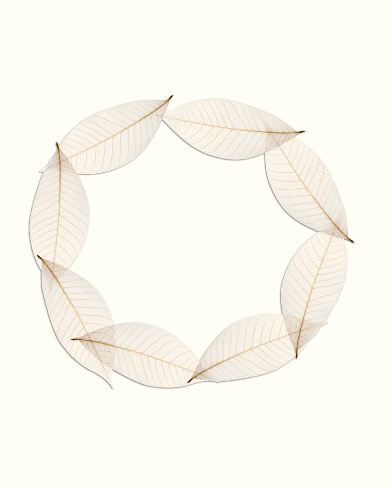 Cool Price CoolPrice Skeleton Natural Dried Rubber Leaves Artificial Leaves Craft Card Scrapbook Diy Handmade Embellishment For Decoration Art 100 Pcs. - Image 2