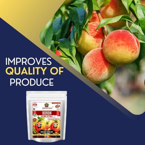 Sansar Agro® Chelated Boron - 20% EDTA, Powerful Essential Organic Fertilizer for Fast Growth of All Plants. (900 gm) - Image 4