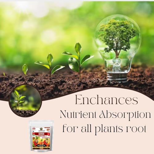 Sansar Agro® Chelated Boron - 20% EDTA, Powerful Essential Organic Fertilizer for Fast Growth of All Plants. (900 gm) - Image 5