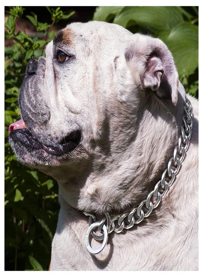 D&C PAWS طوق كلاب D&C PAWS شديد التحمل بسلسلة كوبية، مناسب للكلاب الكبيرة، مصنوع من الفولاذ القوي، حلقات معدنية ملونة، مناسب للسلالات الكبيرة، مثل: روت وايلر، بيتبول، ماستيف، كاني كورسو، دوبرمان، جريت دين، (4 مم، 24 بوصة) - Image 3