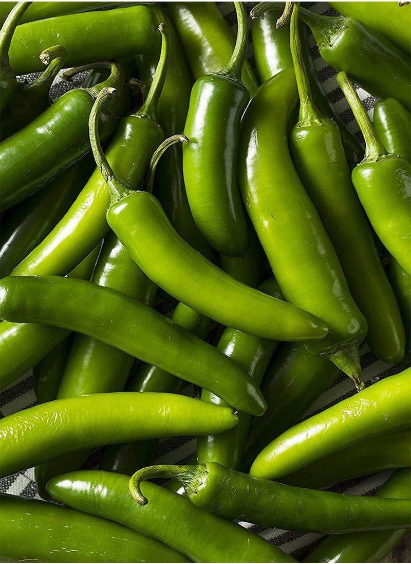 GGOOT - Seeds to Plant - 100+ Seeds - Versatile  for Eating and Seasoning. - Image 1