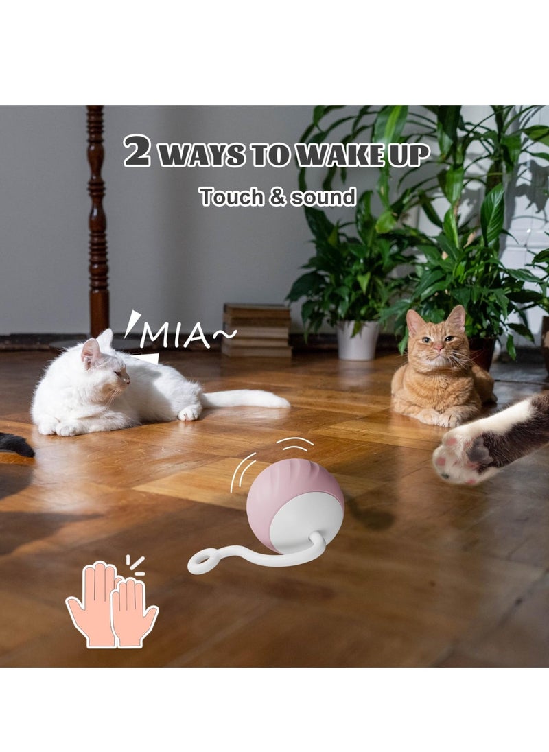 null - Cat Toy, Interactive Cat Toys for Indoor Cats, DIY 5 in 1 Automatic Moving Cat Ball Toys/Puppies Toys with LED Rainbow Lights, Two Speeds Smart Cat Toys - Image 1
