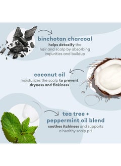 Briogeo Riogeo Scalp Revival Soothe + Detoxify Hair Care Minis Kit Soothe A Dry Flaky Itchy Scalp Vegan Phalate & Parabenfree Travel Kit  - Image 4