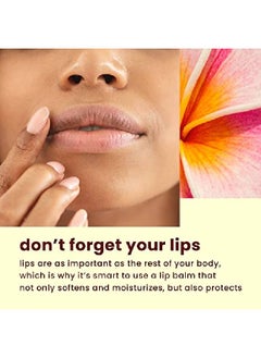 Hawaiian Tropic Lip Balm Sunscreen Stick Spf 30 0.14Oz Pack Of 10  - Image 4