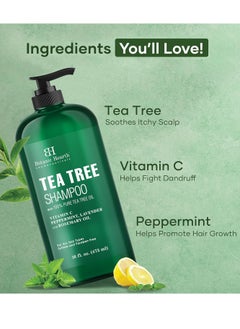 Botanic Hearth Botanic Hearth Tea Tree Shampoo, Vitamin C, Peppermint, Lavender and Rosemary Oil, Fights Dandruff and Dry Scalp, 16 fl oz  - Image 4