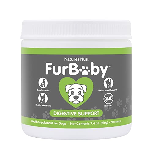NaturesPlus FurBaby Digestive Support for Dogs - 7.4 oz - Promotes Optimal Digestion - Non-GMO - 60 Servings - Image 1