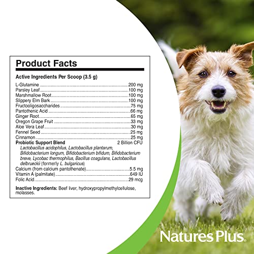 NaturesPlus FurBaby Digestive Support for Dogs - 7.4 oz - Promotes Optimal Digestion - Non-GMO - 60 Servings - Image 4
