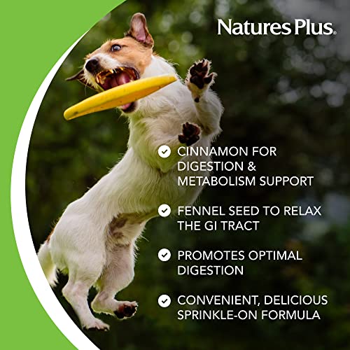 NaturesPlus FurBaby Digestive Support for Dogs - 7.4 oz - Promotes Optimal Digestion - Non-GMO - 60 Servings - Image 3