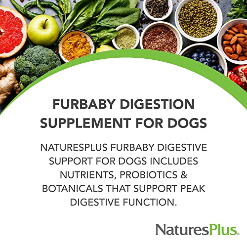 NaturesPlus FurBaby Digestive Support for Dogs - 7.4 oz - Promotes Optimal Digestion - Non-GMO - 60 Servings - Image 2