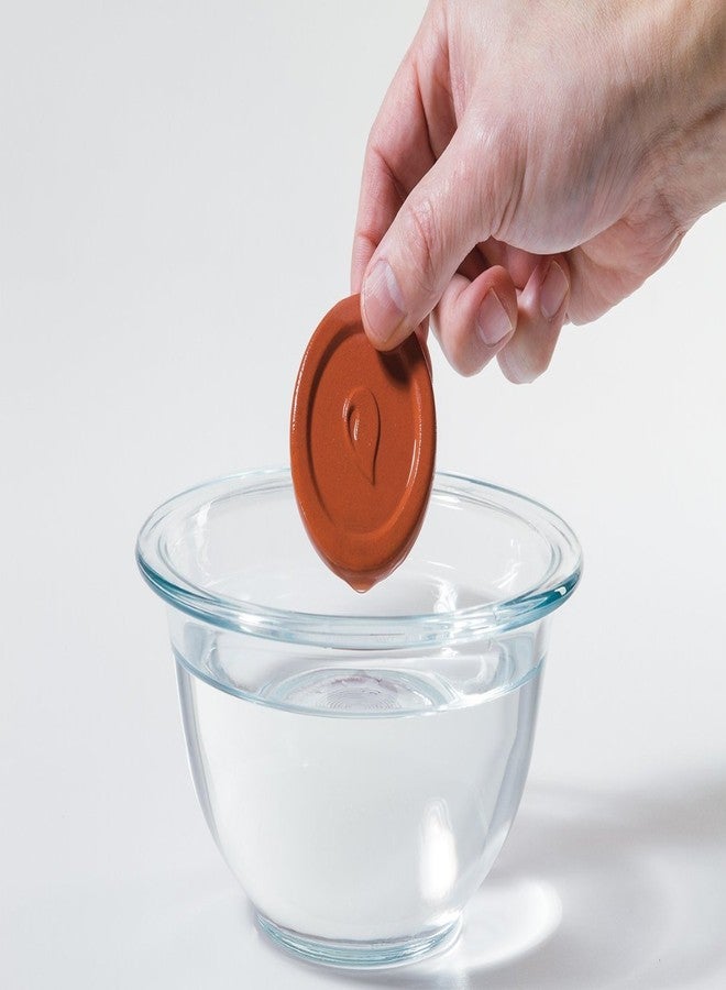 Progressive International Prepworks by Progressive Brown Sugar ProKeeper - Image 3