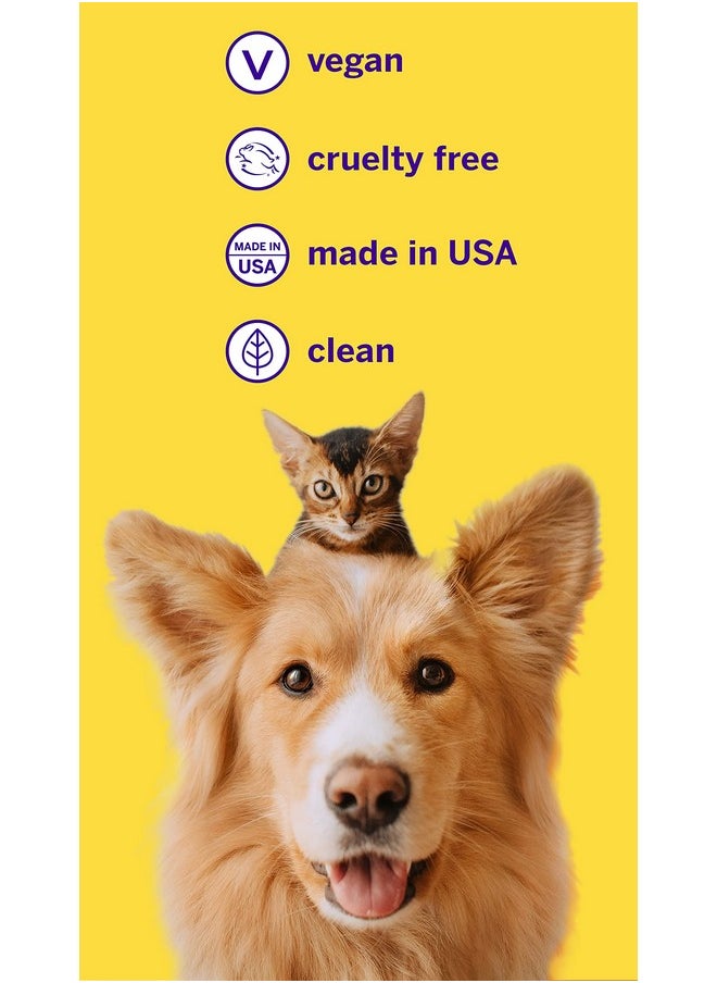 petsmile - Professional Pet Toothpaste - Cat & Dog Teeth Cleaning Supplies - Controls Plaque, Tartar, & Bad Breath - Vohc Accepted Toothpaste - Pet Dental Care Essentials (London Broil, 2.5 Oz) - Image 1