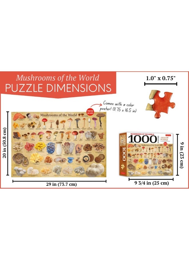 Mushrooms of the World - 1000 Piece Jigsaw Puzzle: For Adults and Families - Finished Puzzle Size 29 X 20 Inch (74 X 51 CM); A3 Sized Poster  - Image 3