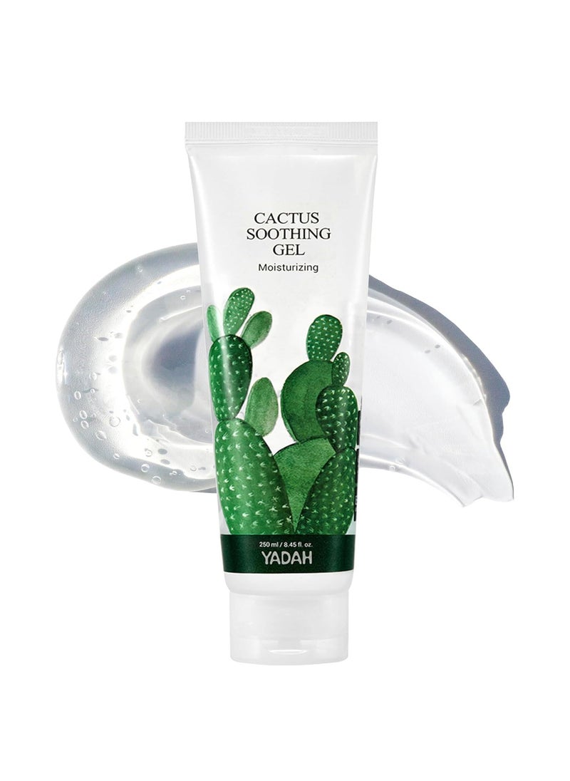 YADAH - YADAH Cactus Soothing Gel (8.45fl oz) - Sunburn Relief, Calm, Cool & Soothe Irritated Skin, Face Redness. Korean Skin Care. 95% Cactus Extract, Vegan. - Image 1