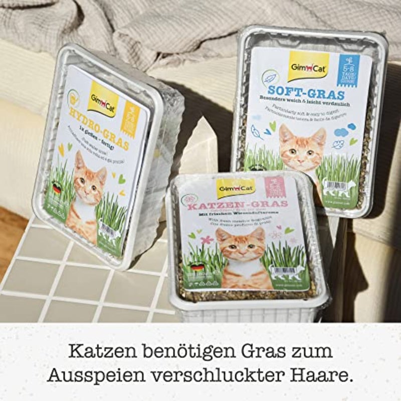 Gimborn Gimcat Cat-Grass With Scent Of Meadows 150 gm - Image 5