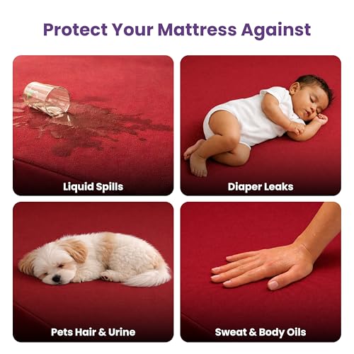 MY ARMOR Premium Ultra Soft Cotton Feel Mattress Protector Queen Size 78"x60", 6.5x5 feet, Double Bed Protector, Waterproof, Breathable, 2 Layer Protection, Hypoallergenic, Elastic Skirting - Maroon - Image 5
