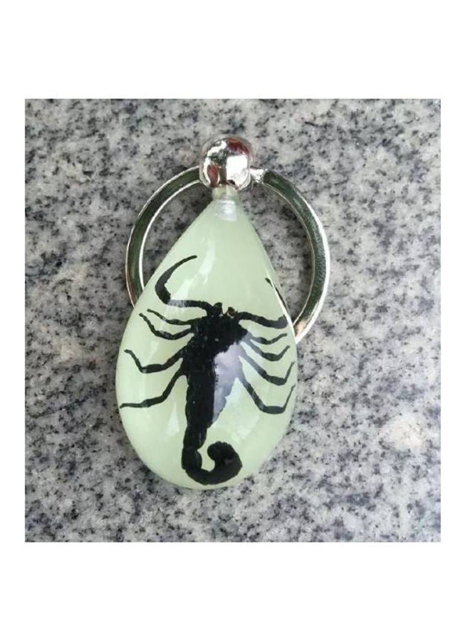 NIBEMINENT Keychain Glow In The Dark Side Real Scorpion
