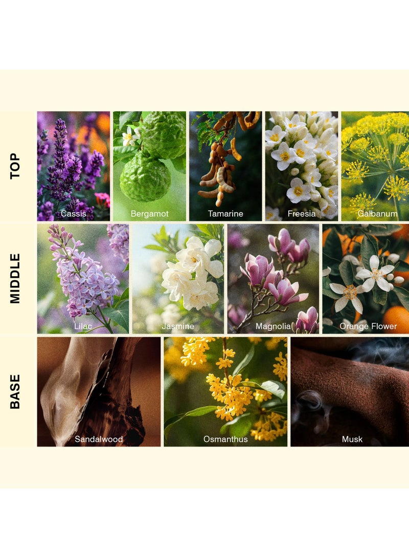 ISCENT | Sense Fragrance Oil Refill for Ensō Diffuser – 100ml Signature Scent with Cassis, Jasmine & Sandalwood | A Harmonious Blend of Bright Fruits, Silken Florals & Soft Woods for Your Home - Image 2