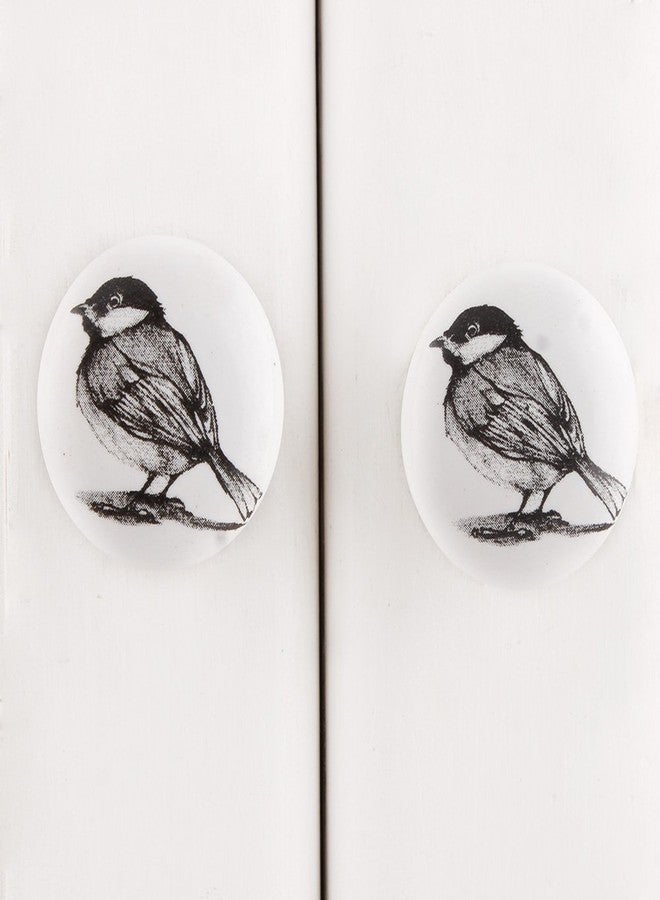 Indian-Shelf Pack of 6 Ceramic Cute Knobs- Black and White Decorative Knobs for Cabinets- Fauna Kids Drawer Pulls- Animal Drawer Pulls and Knobs- Dresser Drawer Knobs- Nursery Drawer Handles - Image 2