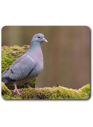 Stock Dove Pigeon Bird Racing Birds Mouse Mat Pad Computer Pc Laptop Gaming Office Home Desk Accessory Gadget 24261 - pzsku/Z5E5D4BD53C2051553475Z/45/_/1734588291/4adfb3af-82f0-4879-a074-c1ac19a39c71