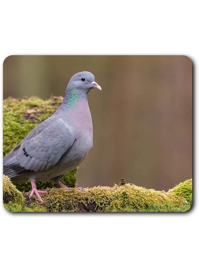 Stock Dove Pigeon Bird Racing Birds Mouse Mat Pad Computer Pc Laptop Gaming Office Home Desk Accessory Gadget 24261