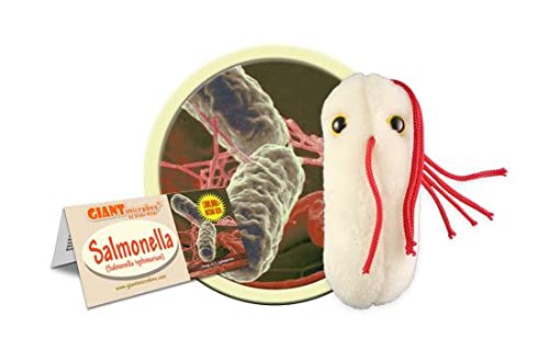 Giant Microbes GIANTmicrobes Salmonella Plush Learn About Food Safety Bacteria and Gut Health with this Unique Fun Gift for Friends Families Teachers Chefs Doctors Gastroenterologists Students and Scientists - Image 1