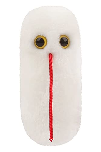 Giant Microbes GIANTmicrobes Salmonella Plush Learn About Food Safety Bacteria and Gut Health with this Unique Fun Gift for Friends Families Teachers Chefs Doctors Gastroenterologists Students and Scientists - Image 2