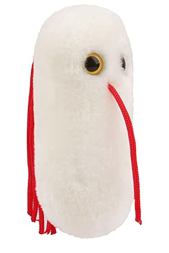 Giant Microbes GIANTmicrobes Salmonella Plush Learn About Food Safety Bacteria and Gut Health with this Unique Fun Gift for Friends Families Teachers Chefs Doctors Gastroenterologists Students and Scientists - Image 3