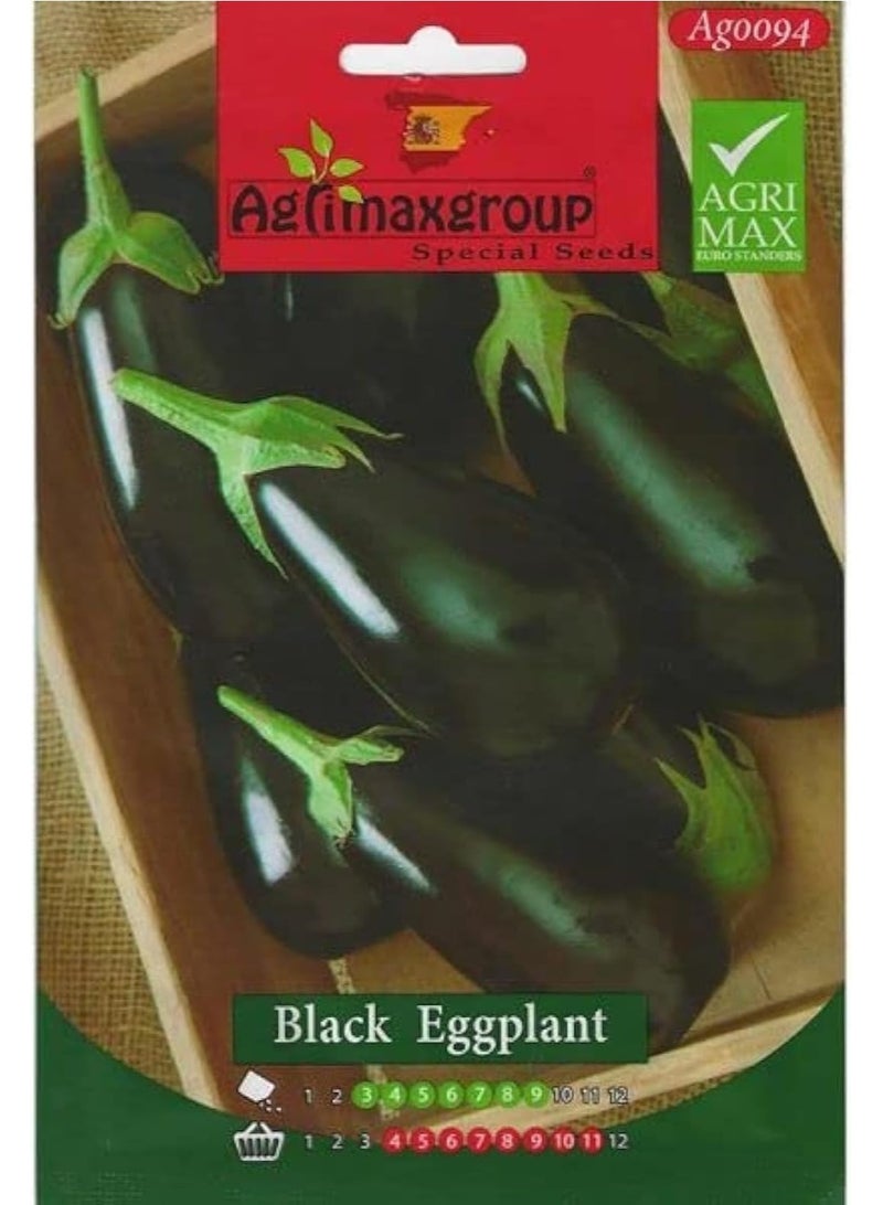 Agrimax Black Eggplant Premium Quality Seeds by Agrimaxgroup® - Image 1