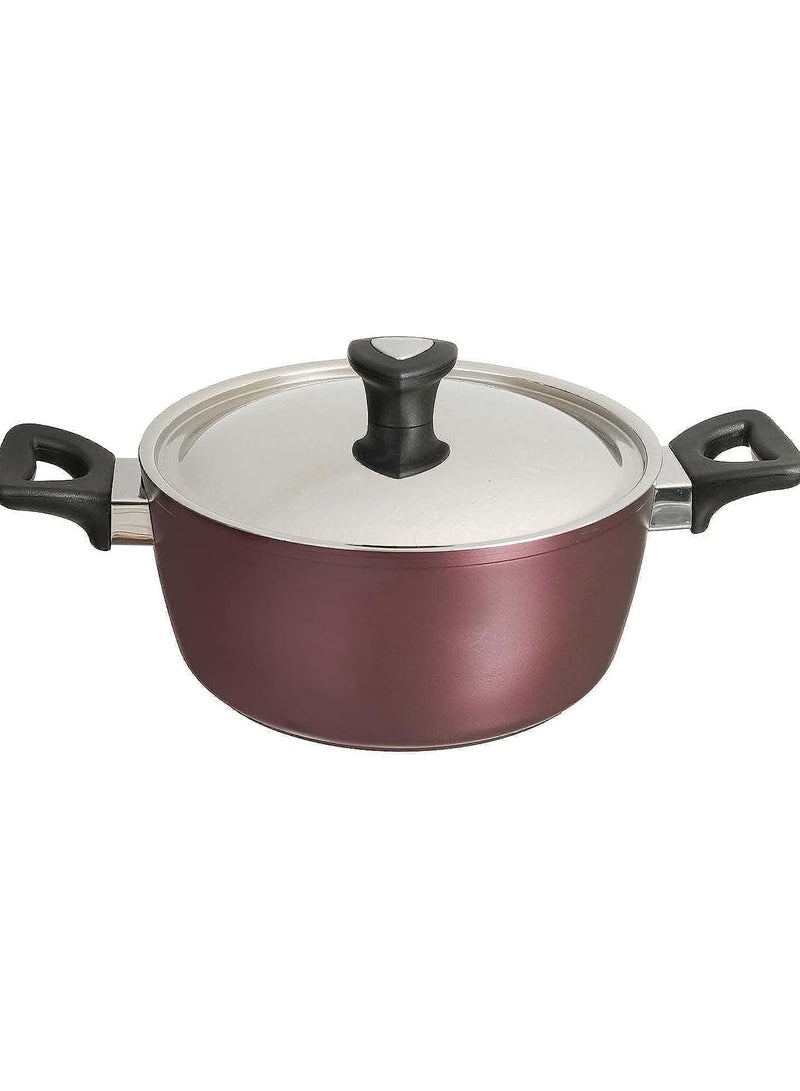 سافلون حلة تيفال من سافلون - 24 سم - Image 1