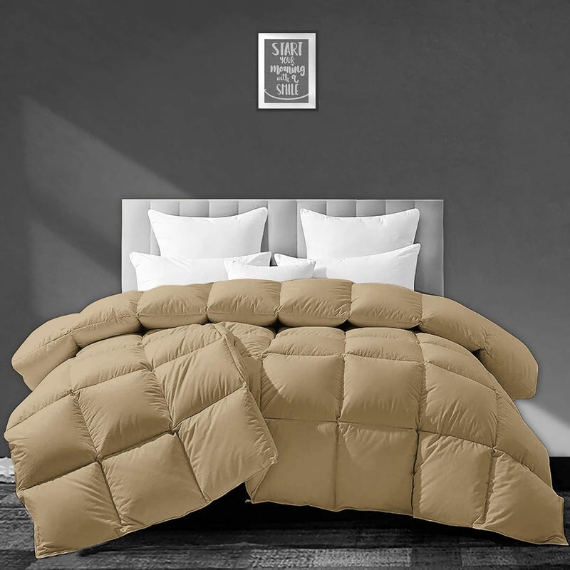 BEDDY FUSION 500 GSM Winter Comforter Double Bed Size 90X100 Premium Collection Heavy Winter Quilted Comforter 500 GSM Microfiber Fill DuvetBlanket Double Bed Beige Color - Image 1
