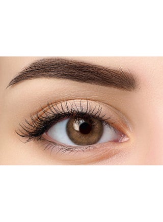 Bonita Daily Brown Color Pack of 10