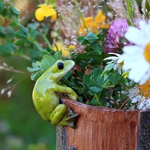 Top Collection Miniature Fairy Garden and Terrarium Frog Flower Pot and Vase Hugger, Mini - Image 2