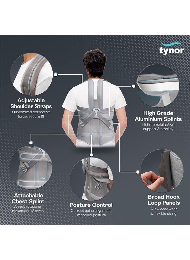 تاينور TYNOR دعامة تايلور القصيرة، رمادي، مقاس XXL، قطعة واحدة - Image 2
