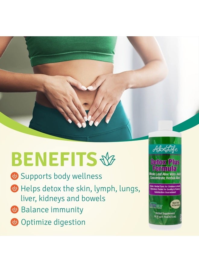 Aloe Life – Detox Plus Formula, Aloe-Based Detox Supplement, Aloe Vera Juice Cleanse, Promotes Healthier Digestion, Concentrated Herbal Tonic, Gut Health Detox for General Wellness (Lemon Lime, 16oz.)  - Image 3