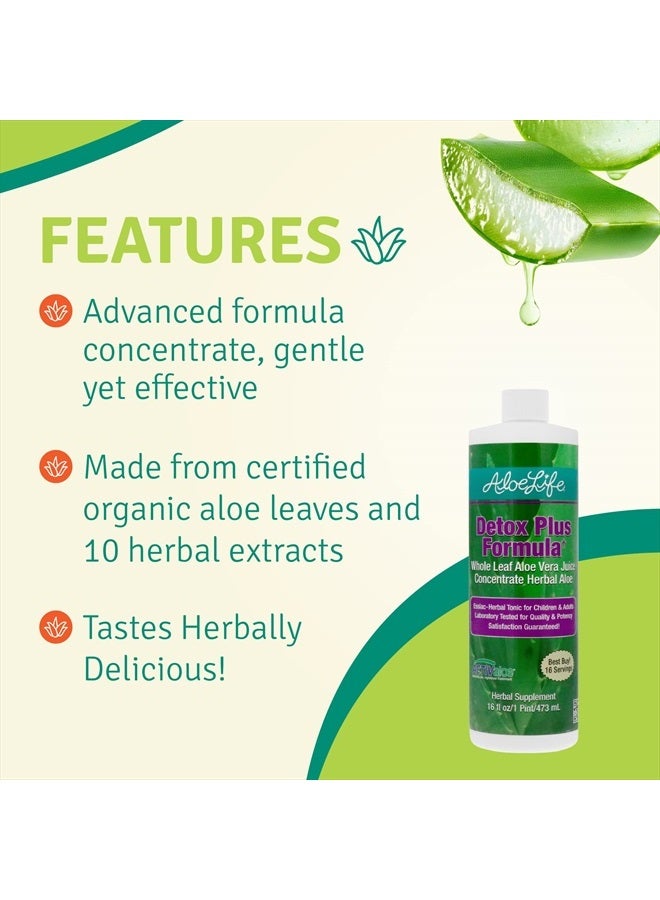 Aloe Life – Detox Plus Formula, Aloe-Based Detox Supplement, Aloe Vera Juice Cleanse, Promotes Healthier Digestion, Concentrated Herbal Tonic, Gut Health Detox for General Wellness (Lemon Lime, 16oz.)  - Image 4