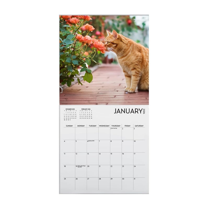 ARTICO Cats and Flowers Large Wall Calendar | 12 x 12 Inches | 2026 Wall Calendar | Christmas Gift (Cats and Flowers) - Image 5