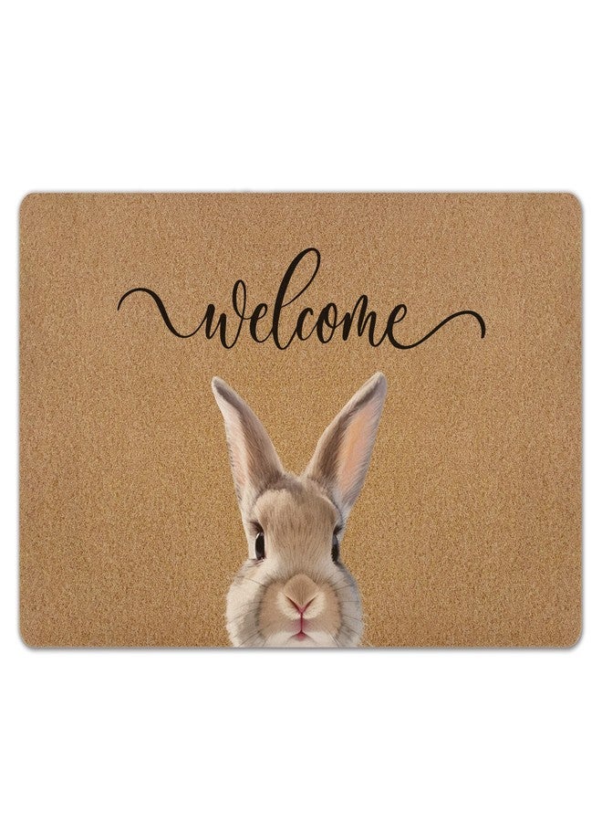 KFXHANGD Easter Bunny Rabbit Door Mat, Easter Bunny Welcome Front Door Mat Outside Entrance, Farmhouse Rabbits Artificial Coir Doormat Rugs for Indoor Patio Porch Entryway Entry, 17x30 Inch - Image 1