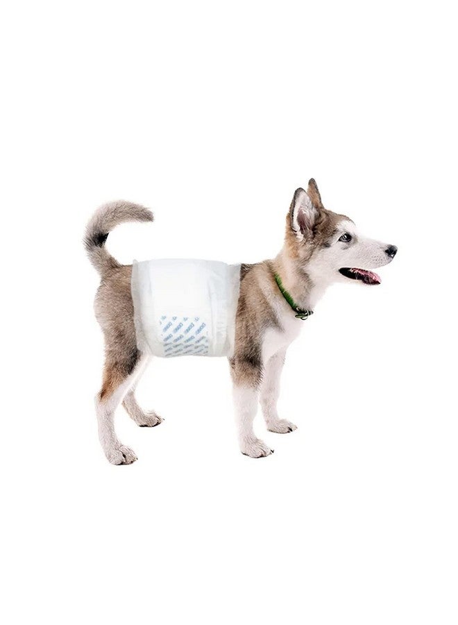 Dono Pet Male Marking Urinary Incontinence Excitable Urination Male Dog Diaper Dono Disposable Male Wraps Dog Diapers Super Absorbent Soft Wraps Leak-Proof Fit,Waist-63cm-80cm(L,8 Pcs) - Image 3