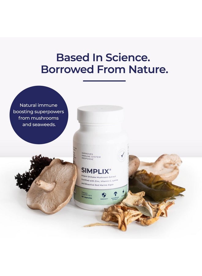 Papillex - Simplix  Natural Supplement To Strengthen The Immune System  Respond To Outbreaks  Source Of Highly Researched Mushroom  Seaweed Polysaccharides 60 Veggie Capsules 1 Pack - Image 1