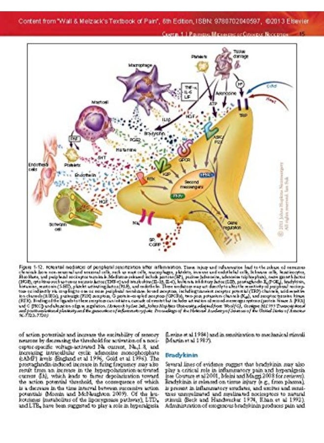Wall & Melzack's Textbook of Pain: Expert Consult - Online and Print  - Image 3